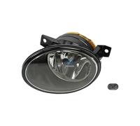 Faro Nebuloso Sinistro 12V, HB4 DT Ricambi Per U.A. MERCEDES-BENZ