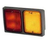 Faro Posteriore Sinistro P21W