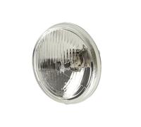 Faro Principale Destro ECE-Testato HELLA Esperto Di Luce Compatibile Con MACK