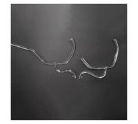 Faro Principale Fari Per BMW Serie 5 G30 G38 2017 2018 2019 2020 LED DRL Luci Diurne Fari Guida Piastra Angel Eyes Tubo Luminoso(2pcs Left Big Small)