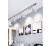Faro proiettore binario 30 watt un led cob luce 6500k 3000k 4000k faretto bianco [EEK: A+++]