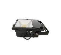 Faro Proiettore Led Esterno 50W Bianco Caldo