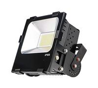 Faro Proiettore Led Flood Light IP65 100W Bianco Caldo Driver Dissipatore Heatpipe PCcooler 200 Smd 2835