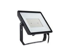 Faro Proiettore Philips 150 W