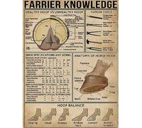 Farrier Knowledge Targa in metallo con anatomia dello zoccolo del cavallo Poster retrò Country Farm Club Scuola Istruzione Soggiorno Cucina Home Art Decorazione murale Targa regalo 8x12 pollici