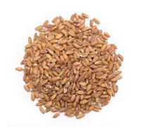 Farro Decorticato 500 g BIO