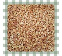 Farro Decorticato 5kg prodotto di alta qualità