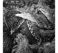 Farrouch Emilie Lev - Like Water Through The Sand