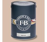Farrow & Ball Dead Flat - Setting Plaster 231 - 5l