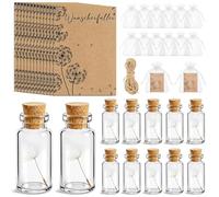 FARYODI Stadtgärtner - Piccola penna stilografica a scelta, 12 pezzi, vero ombrello con denti di leone, in vetro, durevole, perfetta idea regalo, regalo per compleanni, matrimoni, festa della mamma