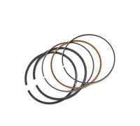 Fasce elastiche da 73 a 74,5 mm compatibili con AN250 SkyWave dal 1998 al 2006 e DR250 1990 1991 1992 1995(73.75MM)