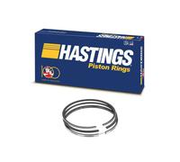 Fasce elastiche Hastings per Fiat 188 A9.000 199 A2.000 Suzuki Z13DT STD X1
