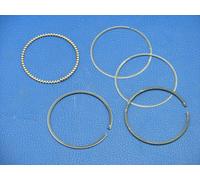 Fasce Elastiche per Apex QS3000 Produttore Corrente Generatore di Potenza