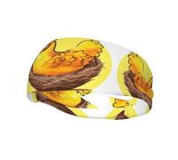 Fasce per capelli Bird's Nest Golden Chicken per donna o uomo - Fascia antisudore regolabile per corsa, yoga, palestra e sport