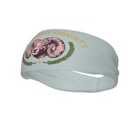 Fasce per capelli con bandiera della contea di Big Horn, Wyoming, per uomo e donna, antiscivolo, traspiranti, per palestra, basket, yoga.