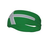 Fasce per capelli con bandiera di Albany, Oregon, per uomo e donna, antiscivolo, traspiranti, per palestra, basket, yoga