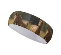 Fasce per capelli con motivo a cavallo nell'erba, per donne e uomini, morbide ed elastiche, fascia antisudore antiscivolo e traspirante per corsa, sport, viaggi e fitness.