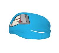 Fasce per capelli con orsi polari dei cartoni animati che dormono sulle rocce, per uomo e donna, antiscivolo, traspiranti, per palestra, basket, yoga.