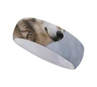 Fasce per capelli Snow Mountain Wild Wolf per donna o uomo - Fascia antisudore regolabile per corsa, yoga, palestra e sport