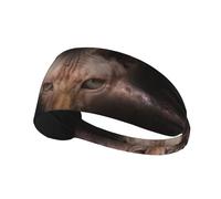 Fasce sportive Hairless Cats and The Galaxy per donne e uomini, fasce elastiche per capelli, fasce antiscivolo alla moda per yoga, fitness e corsa