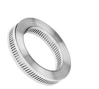 Fascetta stringitubo in acciaio inossidabile 304 fai da te, tagliata su misura, 30 m/50 m/100 m, cinghia metallica, grande vite senza fine regolabile for morsetti a vite, tubo del condotto(100m)
