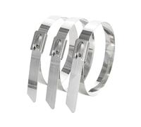 Fascette Metalliche,Fascette Acciaio Inox 10 pezzi Fascette metalliche autobloccanti 7,9 mm Fascette multiuso in acciaio inossidabile 304 100 mm 150 mm 200 mm 250 mm 300 mm 400 mm 500 mm(500mm)