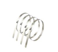 Fascette per cavi in acciaio inox S304 da 4,6 mm, autobloccanti, resistenti, multiuso, per scarico, 4,6 x 200 mm