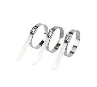 Fascette stringicavo in acciaio inossidabile, Fascette Fermacavo Autobloccanti In Acciaio Inossidabile 304 Argento 4,6mm X 100-1000mm Confezione Da 100 Pz(50pcs,4.6x800mm)