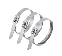 Fascette stringicavo in acciaio inox, 20/40 pezzi, riutilizzabili, autosigillanti, con anello di fissaggio, multiuso in metallo, organizer per cavi (20 pezzi, 4,6 x 200 mm)