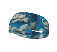 Fascia decorativa sportiva alla moda YYHWHJDE Elephant Sky Park Pattern Fasce per uomini e donne