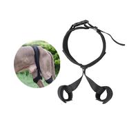 Fascia di assistenza per il tutore dell'anca del cane Comodo tutore per