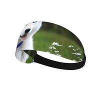 Fascia elastica per capelli sportiva AEKGOHP con occhi blu e stampe di husky bianchi, asciugatura rapida, traspirante
