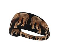 Fascia elastica per capelli sportiva MJHKXLJ Leonardo_Vision_XL_Lion_3 Stampa Spandex, morbida, traspirante, ad asciugatura rapida