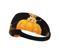 Fascia elastica per capelli sportiva XBKGOHA Little Lion on the Pumpkin carrozza stampata morbida, traspirante, ad asciugatura rapida