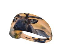 Fascia elastica per capelli sportiva YYHWHJDE Bull Elk modello morbido, traspirante, ad asciugatura rapida