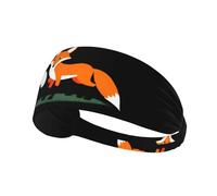 Fascia elastica per capelli sportiva YYHWHJDE Little Fox Stealing Eggs Prints Spandex, morbida, traspirante, ad asciugatura rapida