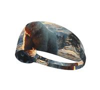 Fascia elastica per esercizi con stampa di orso polare in inverno, copricapo sportivo alla moda per estate, ciclismo, yoga e altro