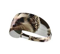 Fascia elastica per esercizi con stampa di un riccio, alla moda, per l'estate, il ciclismo, lo yoga e molto altro