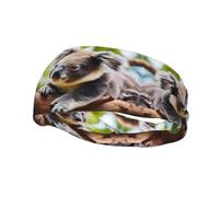 Fascia elastica per esercizi di corsa, yoga, uomini e donne, corsa, basket, fitness, fascia elastica per capelli, un piccolo koala sport fascia assorbire il sudore,