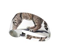 Fascia elastica per esercizi - Fascia morbida e traspirante per corsa, ciclismo, yoga e altro ancora Stampa Wild Bobcat