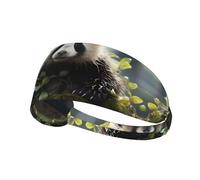 Fascia elastica per sport all'aria aperta, con stampa di cuccioli di panda nella foresta, per viaggi, yoga, ciclismo, sport, fitness.