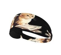 Fascia elastica sportiva per capelli MJHKXLJ Kitten Reading giornale Stampa accurata Spandex, morbido, traspirante, ad asciugatura rapida