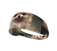 Fascia elastica sportiva per capelli YYHWHJDE A Beloved Puppy Prints, fascia atletica per donne e uomini