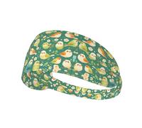 Fascia elastica sportiva per capelli YYHWHJDE Cute Little Bird modello morbido, traspirante, ad asciugatura rapida