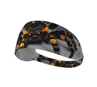 Fascia elastica sportiva per capelli YYHWHJDE Cute Tarantola Spider stampe Athletic Band per donne e uomini