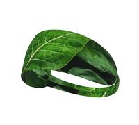 Fascia elastica sportiva per capelli YYHWHJDE Green Leaf Nature Picture morbida, traspirante, ad asciugatura rapida