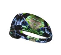 Fascia elastica sportiva per capelli YYHWHJDE Panther con occhi azzurri, morbida, traspirante, ad asciugatura rapida