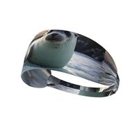 Fascia elastica sportiva per capelli YYHWHJDE Seals Coming Ashore to Breathe Stampe Spandex, morbida, traspirante, ad asciugatura rapida