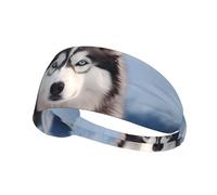Fascia elastica sportiva per capelli YYHWHJDE Siberian Husky modello ad asciugatura rapida, traspirante
