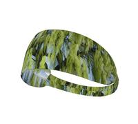Fascia elastica sportiva per capelli YYHWHJDE Willow Tree Picture Soft, traspirante, ad asciugatura rapida
